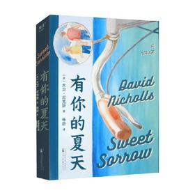 有你的夏天 大卫·尼克斯 著 小说