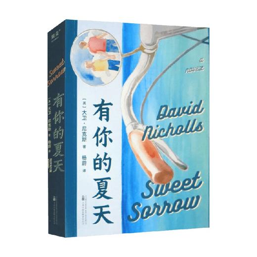 有你的夏天 大卫·尼克斯 著 小说 商品图0