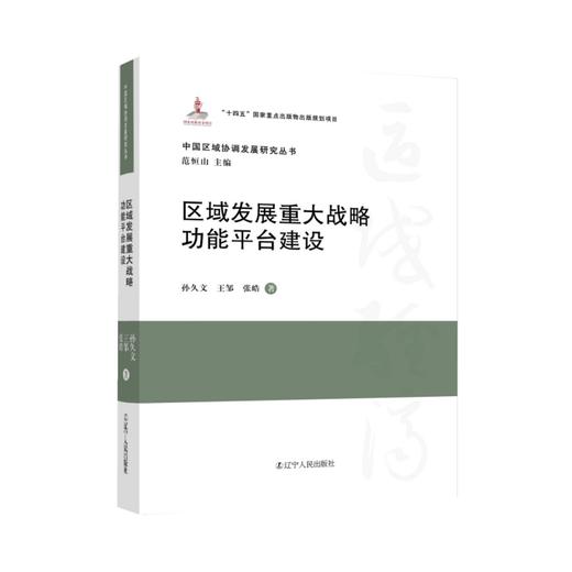 区域发展重大战略功能平台建设 商品图0