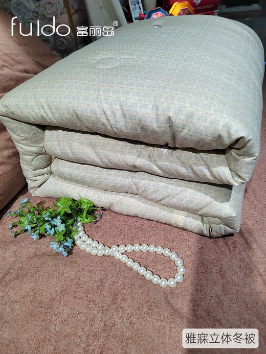 富丽岛家纺雅寐立体冬被 商品图0