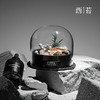 【云优选】西苔 旷野秘境升级款-扩香晶石香薰精油香氛家用摆件（拆封后不支持退换货，介意慎拍！） 商品缩略图9