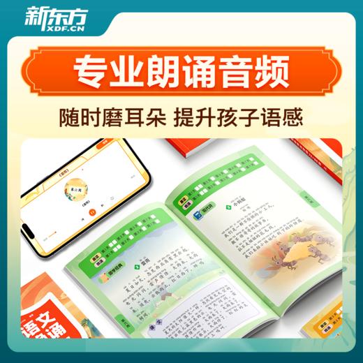【新东方】小学语文晨读晚诵337 商品图5