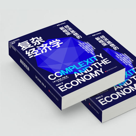 复杂经济学：经济思想的新框架 商品图4