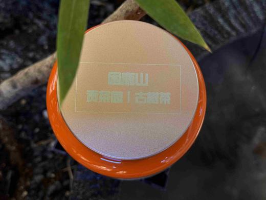 （天花板）困鹿山 皇家贡茶 细叶古树 50克 100克 清雅兰果香 商品图1