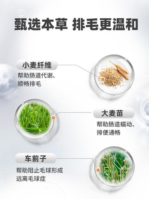 【买1送1 送正装120g1支】普安特猫草化毛膏猫咪专用营养膏调理排除吐去毛球宠物营养补充 商品图1