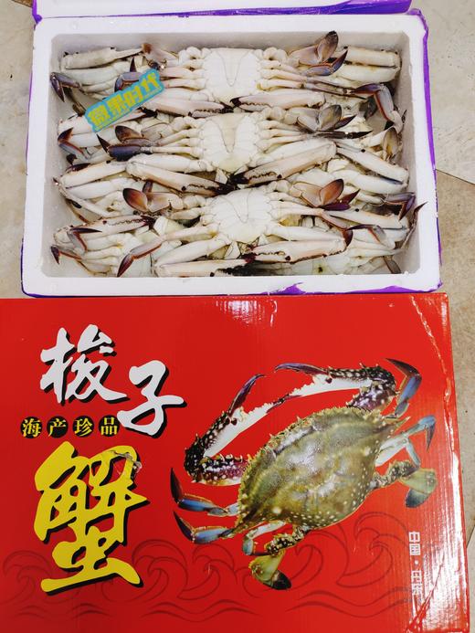 红箱梭子蟹一箱 商品图1