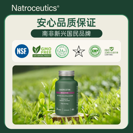 Natroceutics纳苏可 檞皮素生物活性胶囊 纯植物零添加 有效舒缓肺部不适 商品图4