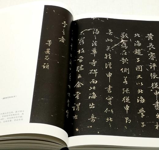 《自具法眼——董其昌晋唐宋元书画题跋集萃》，布面裸脊精装，16开，成品尺寸:180x285mm，段奇编著，内页用纸：120g进口高阶印画共400页，正文379页，中国文联出版社2024年1月一版三印 商品图11