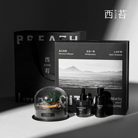 CITTA西苔 扩香晶石香薰礼盒 旷野秘境升级版 植物香薰 质感包装 72小时发货