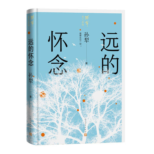 远的怀念 商品图0