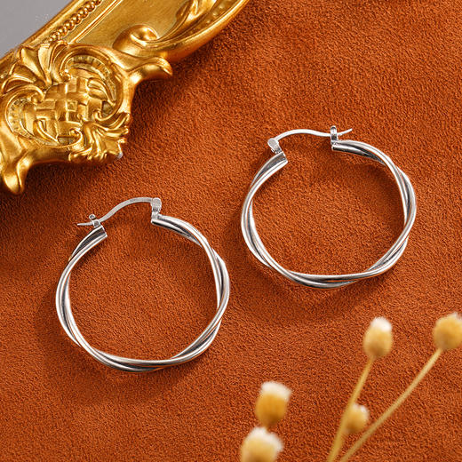 子佩集S925银【容隐】耳环【CY101050】扣环耳圈2402 商品图0