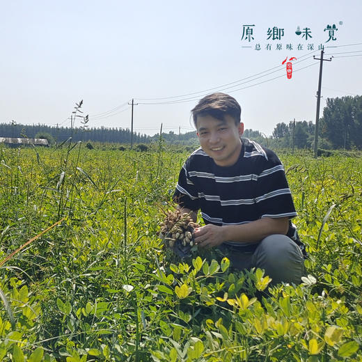 糖粘/五香花生、花生米（基地直发-中通包邮）| 130g/袋，2/8袋装，来自河北滦县，生产者：张振【合作生产，公平贸易】 商品图6