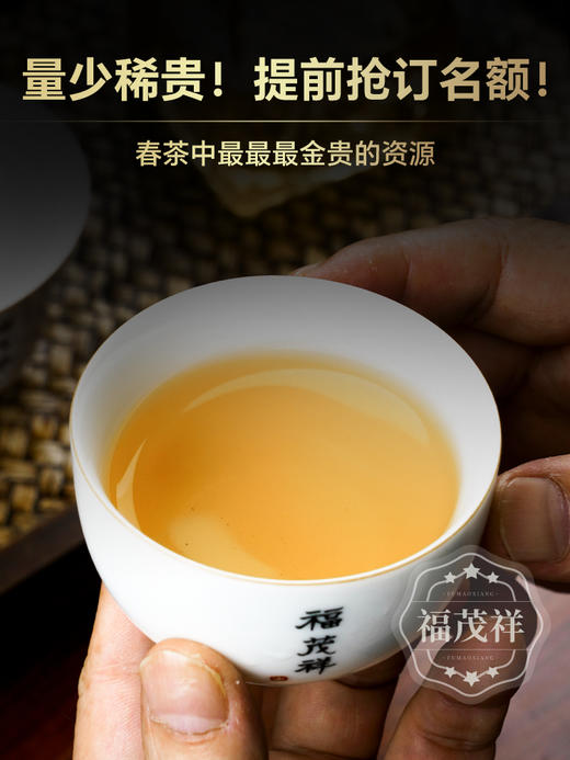 【2024年春茶】【猫耳朵】连续四年断货王！新签约核心地块，品质更胜去年  2024年云南易武茶区倚邦普洱茶生茶古树茶饼357g 商品图4