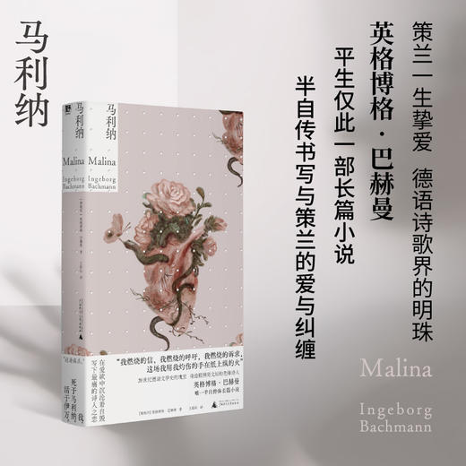 马利纳丨20世纪德语文学瑰宝巴赫曼平生仅此一部长篇自传小说【北贝】 商品图0