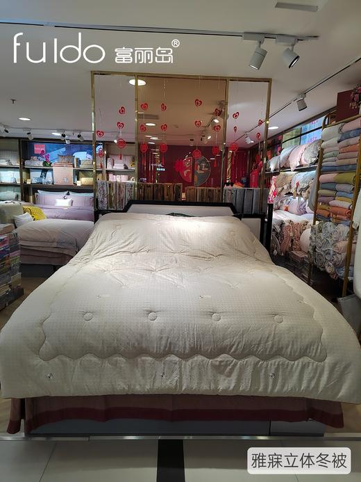 富丽岛家纺雅寐立体冬被 商品图3