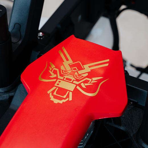 龙年主题贴纸（3张/套） 商品图5