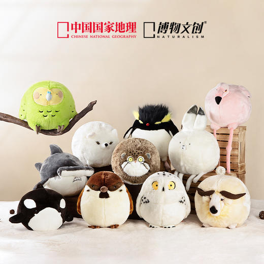 博物文创 大圆宝系列合集 兔狲雪鸮双髻鲨跳岩企鹅羚牛北极兔树麻雀虎鲸北极狐鸮鹦鹉大红鹳 商品图0
