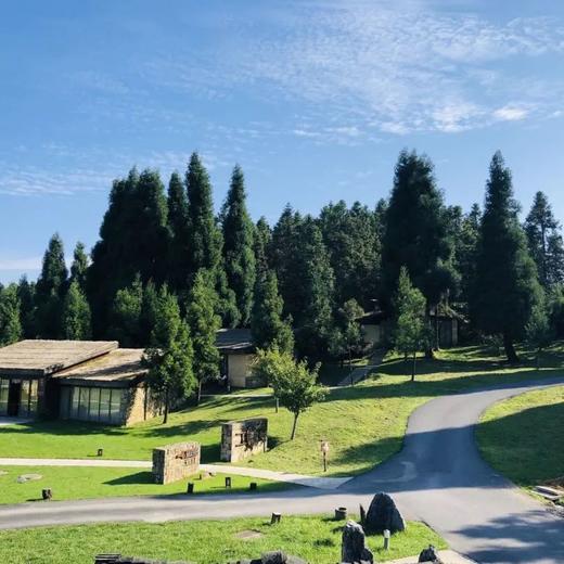 边玩边养老丨旅居重庆，玩遍山城雾都，观巴山渝水独特魅力！ 商品图7