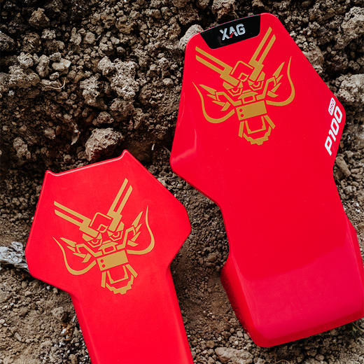 龙年主题贴纸（3张/套） 商品图4