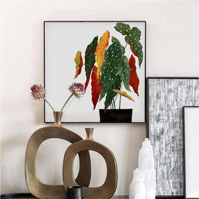 多喜爱布艺装饰画 美好寓意绿植系列波点女王cs