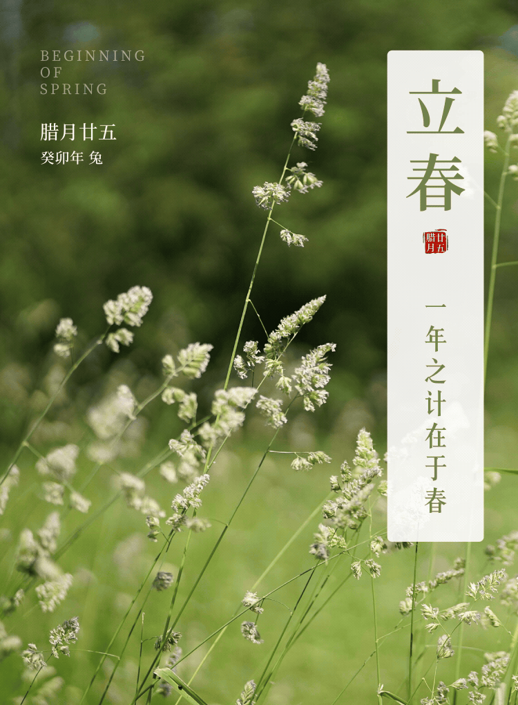 立春 | 一年之计在于春