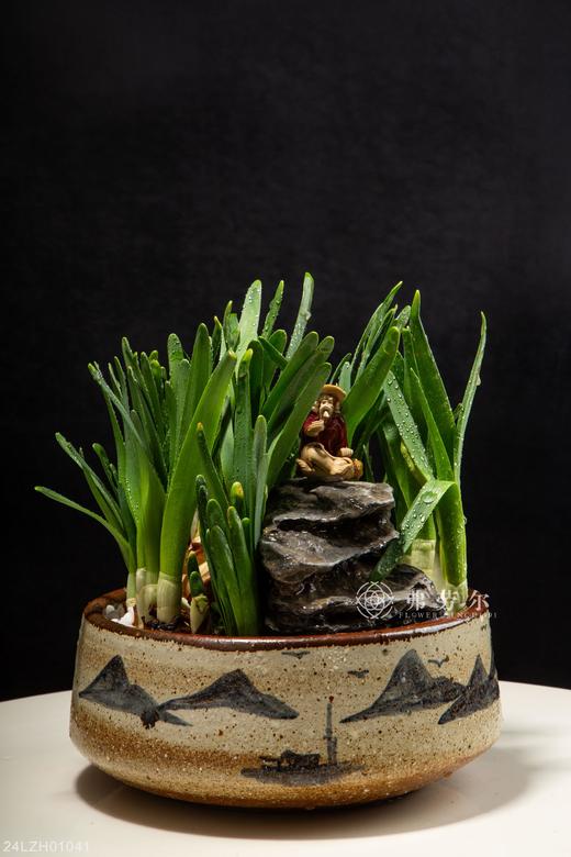 24LZH01041 商品图0