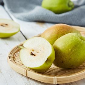 新疆库尔勒香梨特级果（12斤/箱）