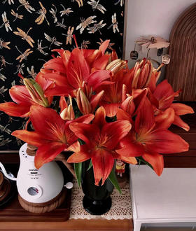 繁花同款  红宝石百合 · 年宵花束