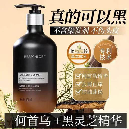 【VIP-G】芭思蔻 何首乌黑灵芝洗发水500ml 商品图2