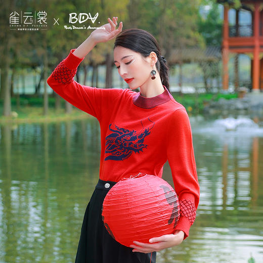 杨丽萍老师龙舞系列-舞龙针织上衣| 现货加急发 商品图0