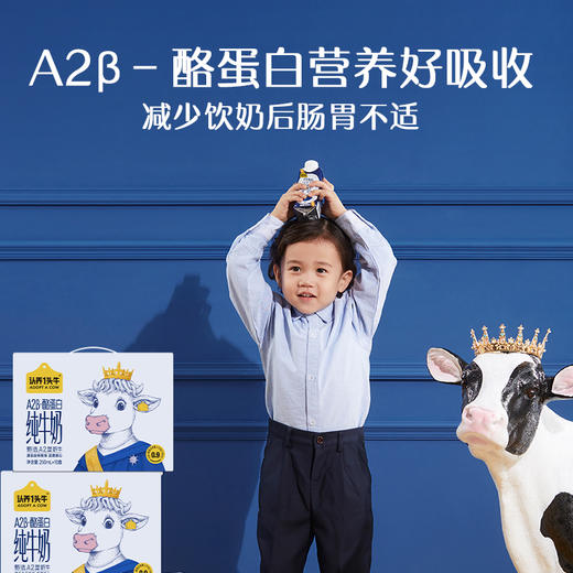 认养一头牛 A2 β-酪蛋白纯牛奶 一提装/两提装/四提装 250ml*10瓶/提 商品图2