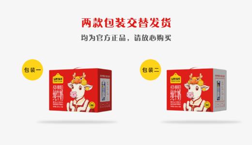 认养一头牛 A2 β-酪蛋白纯牛奶 一提装/两提装/四提装 250ml*10瓶/提 商品图1