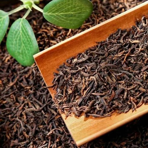 中茶 琥珀金芽普洱熟茶礼盒200g 商品图2