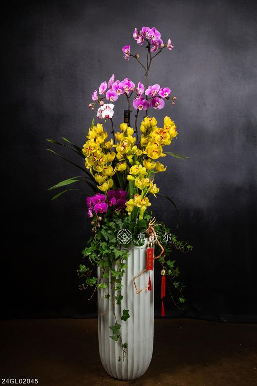 24GL02045 商品图0