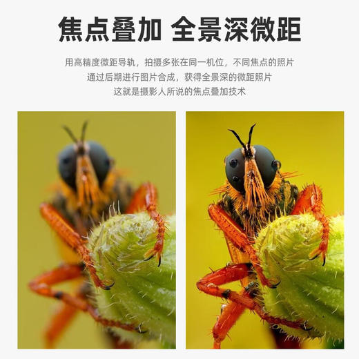 狼族优选丨升级款耐司NM-200s 微距云台导轨 单反相机 滑轨 摄影摄像 轨道便携桌面拍摄滑轨 商品图1