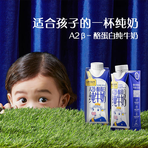 认养一头牛 A2 β-酪蛋白纯牛奶 一提装/两提装/四提装 250ml*10瓶/提 商品图4