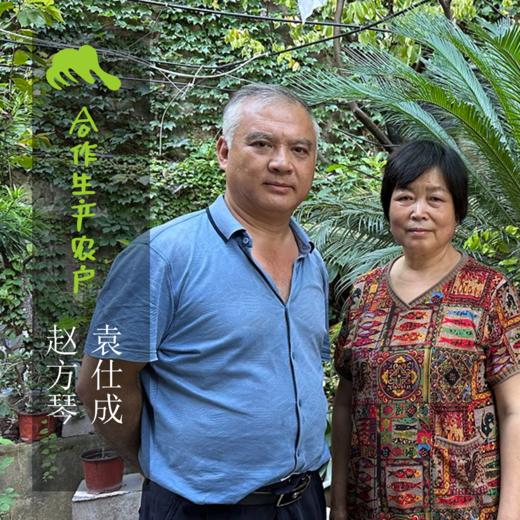 生态贵州红油腐乳 |合作生产 *Ecological hand-made beancurd | Coproduction 商品图1