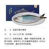 【年货节 鲥鱼限时特惠】新孟河清水鲥鱼2-2.5斤/条  现钓现杀   新鲜美味  冰鲜发货 肉质鲜美  顺丰速运 商品缩略图2