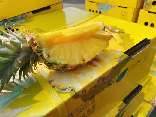 海南树熟金钻凤梨，不必等到皮色全黄，闻一下尾部的香气，只要有香气，无论黄皮还是绿皮，都很甜！如果你想吃浓甜到几乎无酸的凤梨，常温通风存放，皮色全黄，是最佳食用期！2粒/组，约3斤 商品图1