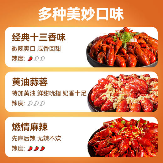 【龙虾礼盒：大号小龙虾3盒装】新孟河小龙虾12-15只/盒  麻辣、十三香小龙虾700g/盒*3盒礼盒装 商品图3