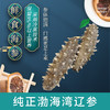 自营(海中源）-《新品上市》 高品质 优级鲜食海参 纯正渤海湾辽参 送礼盒包装 顺丰发货 商品缩略图0