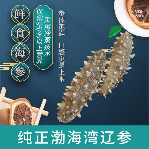 自营(海中源）-《新品上市》 高品质 优级鲜食海参 纯正渤海湾辽参 送礼盒包装 顺丰发货 商品图0