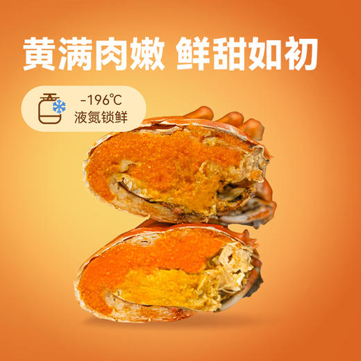 【2.5两全母醉蟹    年货节   多买多减】新孟河全母醉蟹750g/盒（约2.5两/只，4只装/盒 ）液氮锁鲜  顺丰速运 商品图4