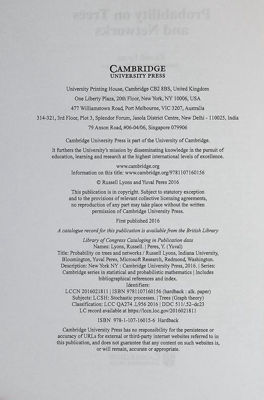 【中商原版】树和网络上的概率 Probability on Trees and Networks 英文原版 Russell Lyons 概率论与数理统计 商品图8