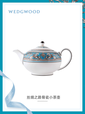 【WEDGWOOD】威基伍德丝绸之路600ml小茶壶骨瓷欧式咖啡壶单壶家用