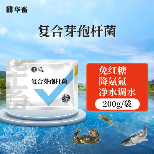华畜加酶芽孢杆菌菌种水产养殖专用原种菌粉虾蟹塘活菌em益生菌 商品图6