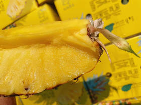 海南树熟金钻凤梨，不必等到皮色全黄，闻一下尾部的香气，只要有香气，无论黄皮还是绿皮，都很甜！如果你想吃浓甜到几乎无酸的凤梨，常温通风存放，皮色全黄，是最佳食用期！2粒/组，约3斤