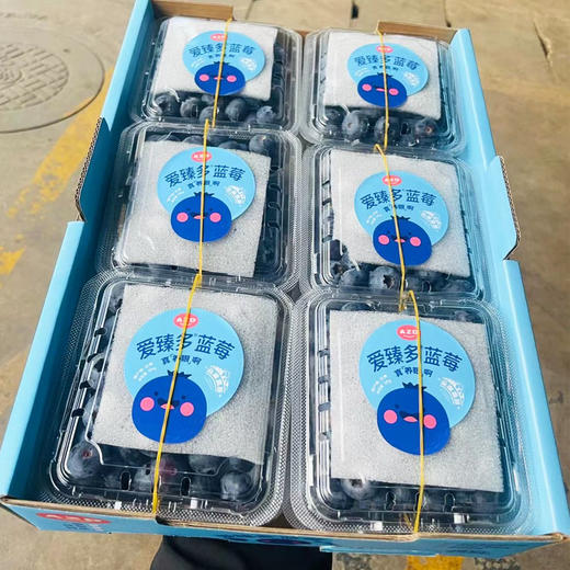 15+国产蓝莓（盒）125g 商品图0