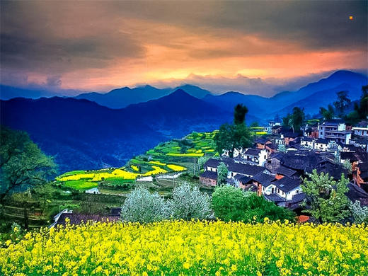 【婺源三清山2日】油菜花海-问道仙山の婺源油菜花-望仙谷/婺女洲-三清山 商品图5