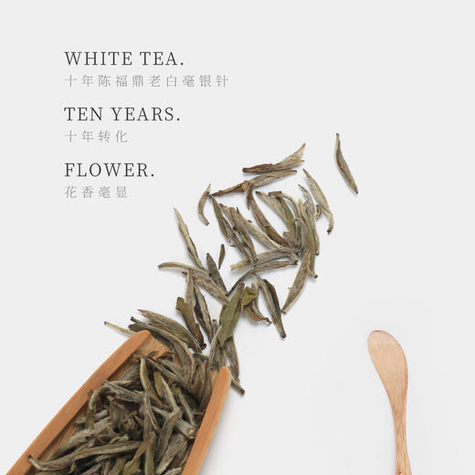 【观山社】十年陈福鼎老白毫银针60g 商品图1